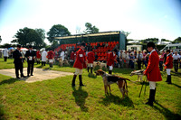 Honiton 2013 CF2 010