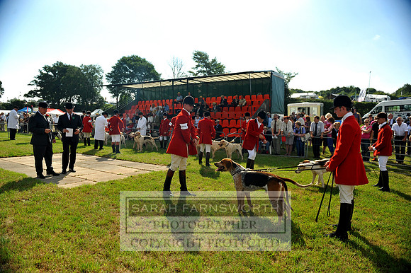 Honiton 2013 CF2 010