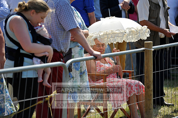 Honiton 2013 CF3 638