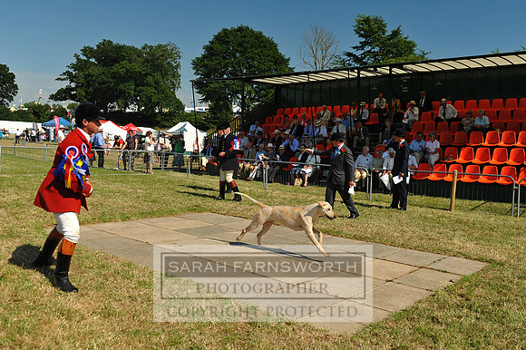 Honiton 2013 CF2 350