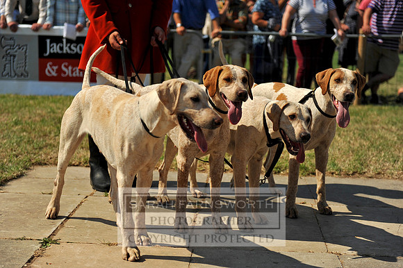 Honiton 2013 CF2 320