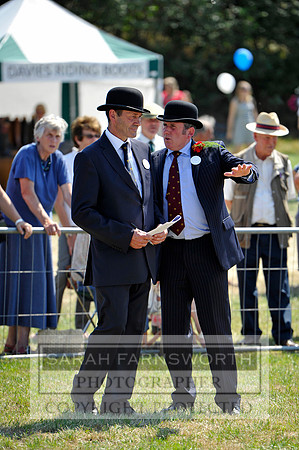 Honiton 2013 CF3 447