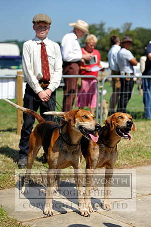 Honiton 2013 CF3 418