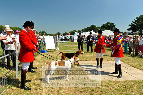Honiton 2013 CF2 154
