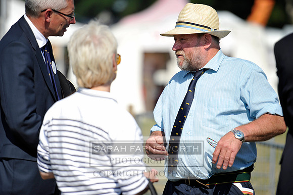 Honiton 2013 CF3 818