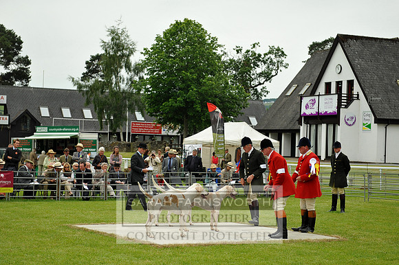 WBCHS13 179