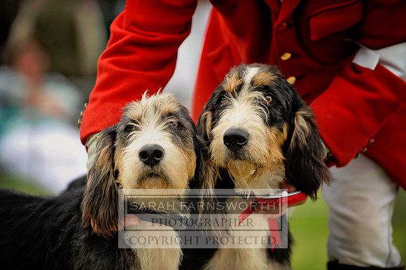 WBCHS13 CF2 455