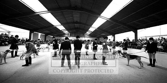 PFoH12 192 bw