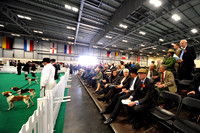 PFoH12 013