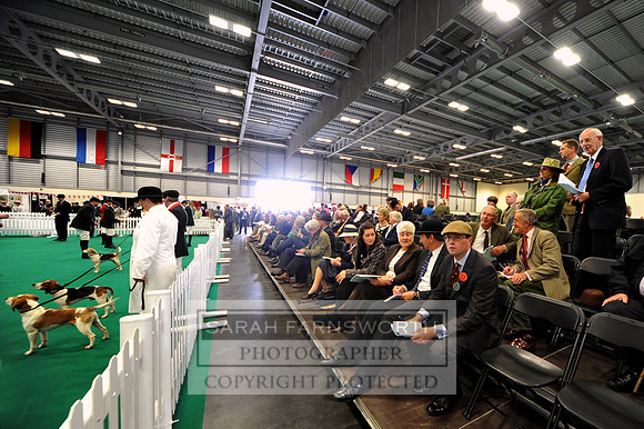 PFoH12 013