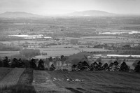 DB 170216-18 bw