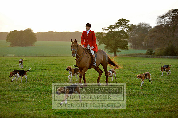 Brocklesby 021113 CF3 1494