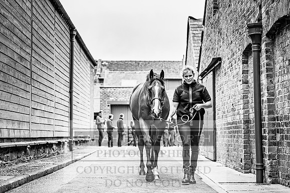 GUK Yorton Sale 2019-181