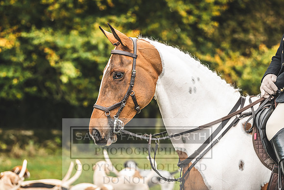 NCH Opening Meet 2019-23