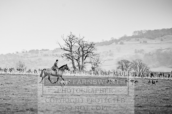 NCH 170318-394