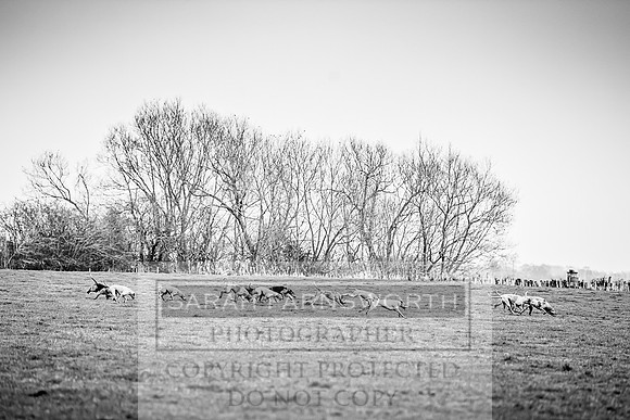 NCH 170318-383