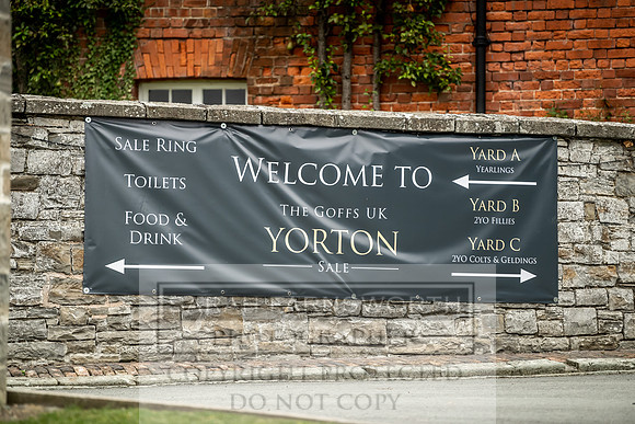 GUK Yorton Sale 2019-112