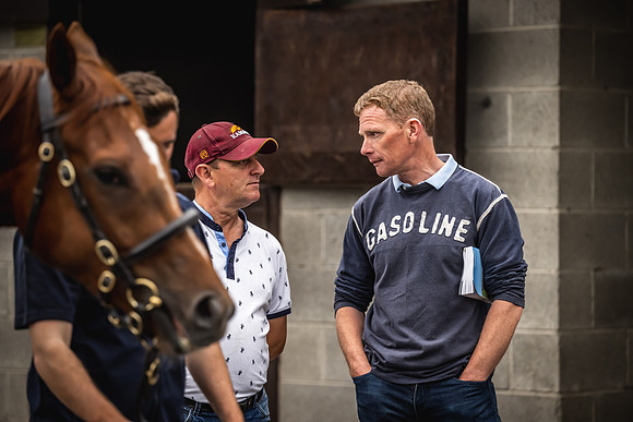 Goffs Arkle Sale Day 1-123