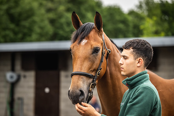 Goffs Arkle Sale Day 1-59