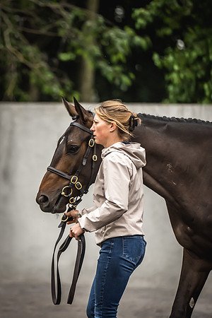 Goffs Arkle Sale Day 1-173