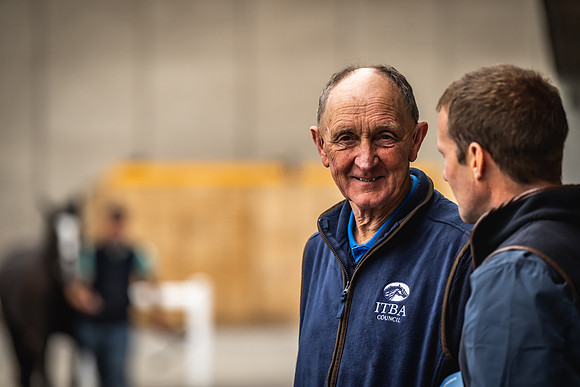 Goffs Arkle Sale Day 1-82