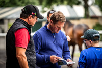 Goffs Arkle Sale Day 1-9