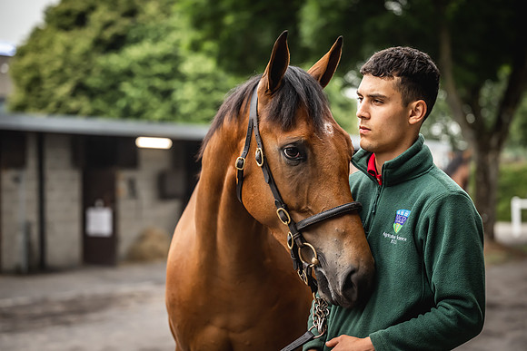 Goffs Arkle Sale Day 1-66