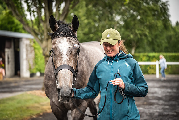 Goffs Arkle Sale Day 1-228
