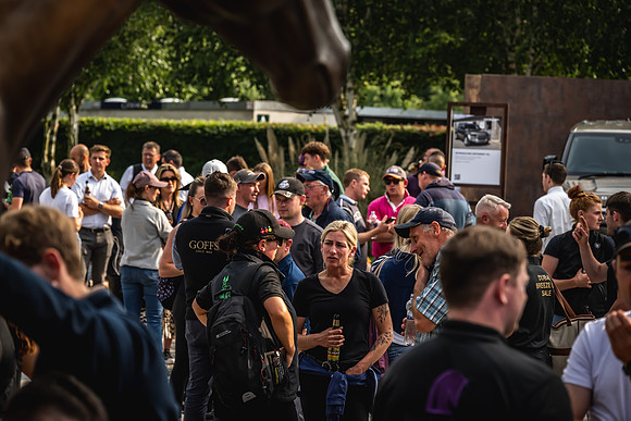 Goffs Arkle Sale Day 1-276