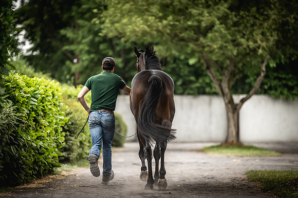 Goffs Arkle Sale Day 1-161
