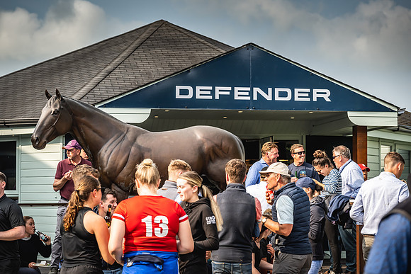 Goffs Arkle Sale Day 1-265