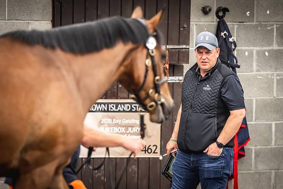 Goffs Arkle Sale Day 1-89