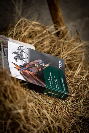 Goffs Arkle Sale Day 1-229