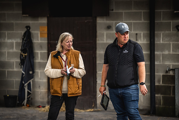 Goffs Arkle Sale Day 1-83