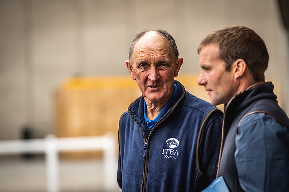 Goffs Arkle Sale Day 1-81