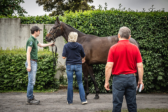 Goffs Arkle Sale Day 1-150