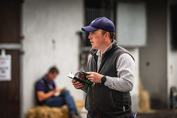 Goffs Arkle Sale Day 1-133