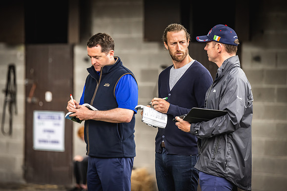 Goffs Arkle Sale Day 1-96