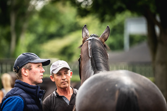 Goffs Arkle Sale Day 1-244
