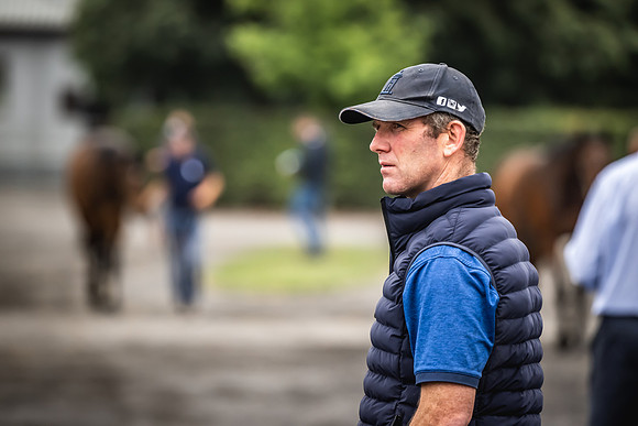 Goffs Arkle Sale Day 1-116