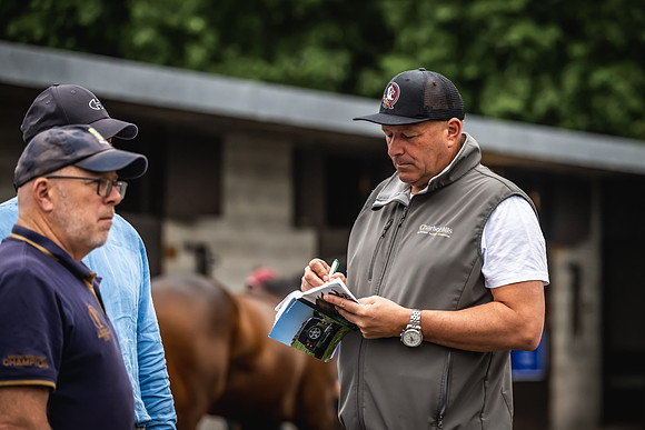 Goffs Arkle Sale Day 1-74