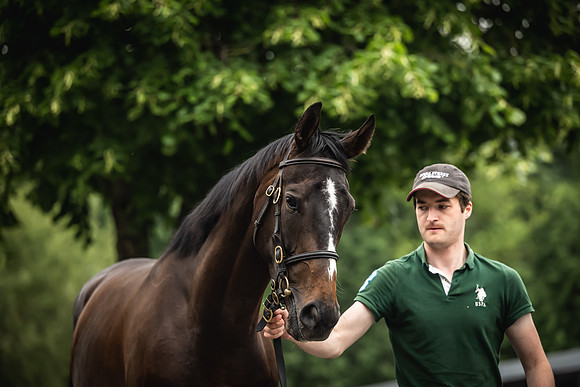 Goffs Arkle Sale Day 1-158