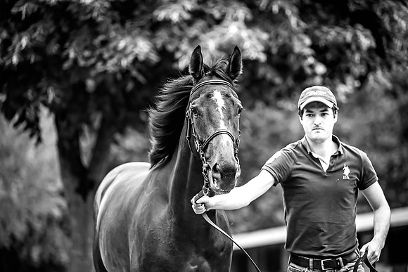 Goffs Arkle Sale Day 1-164