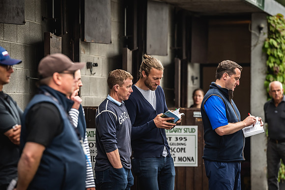 Goffs Arkle Sale Day 1-193