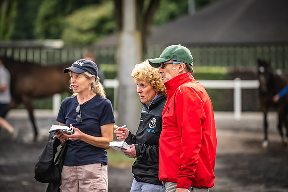 Goffs Arkle Sale Day 1-243