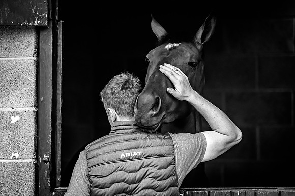 Goffs Arkle Sale Day 1-71
