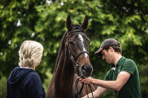 Goffs Arkle Sale Day 1-159