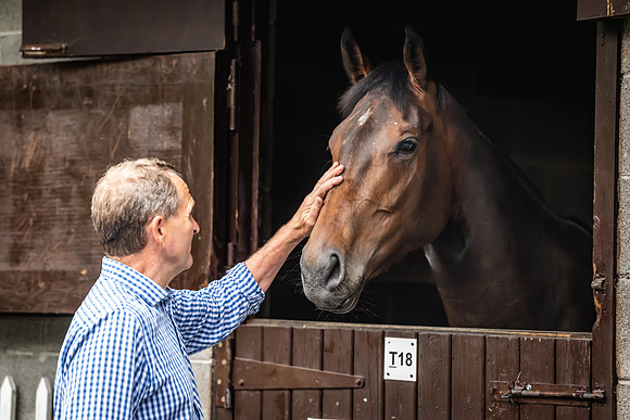 Goffs Arkle Sale Day 1-36