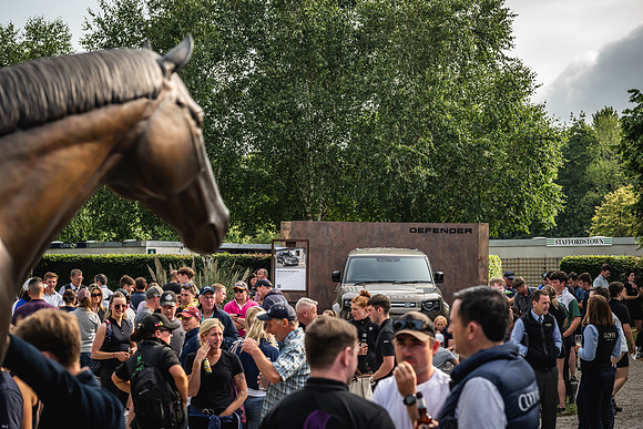Goffs Arkle Sale Day 1-273