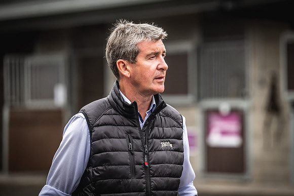 Goffs Arkle Sale Day 1-33